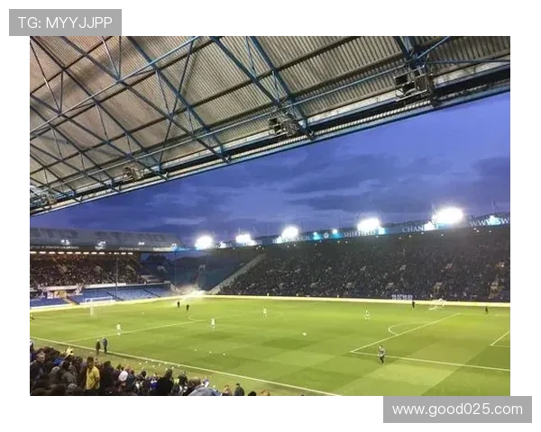 泰晤士：谢周三拟拍卖希尔斯堡球场金象标志筹资计划